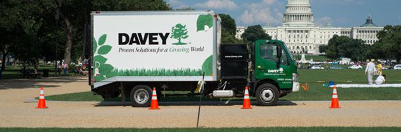 San Diego�s Best 25 Tree Services Companies 2020 2021