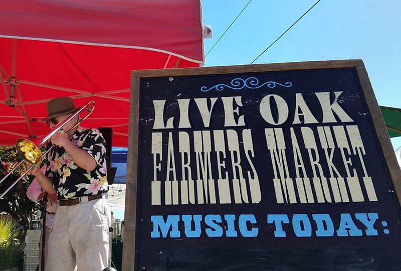 live oak farmers market