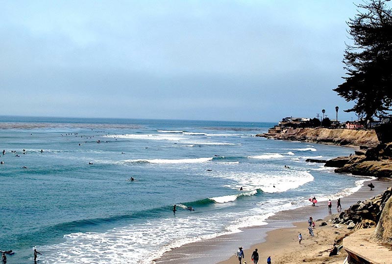 pleasure point surfing
