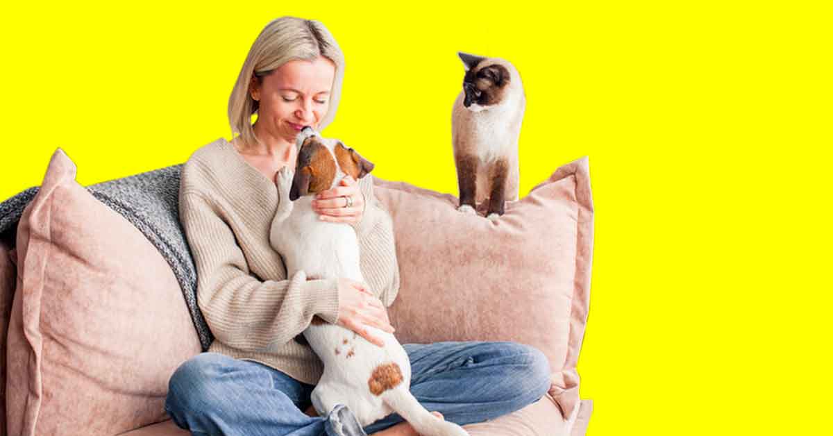 Image: Woman holding her dog while on the couch and her cat observing