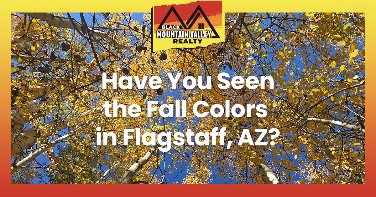 Have You Seen the Fall Colors in Flagstaff, AZ