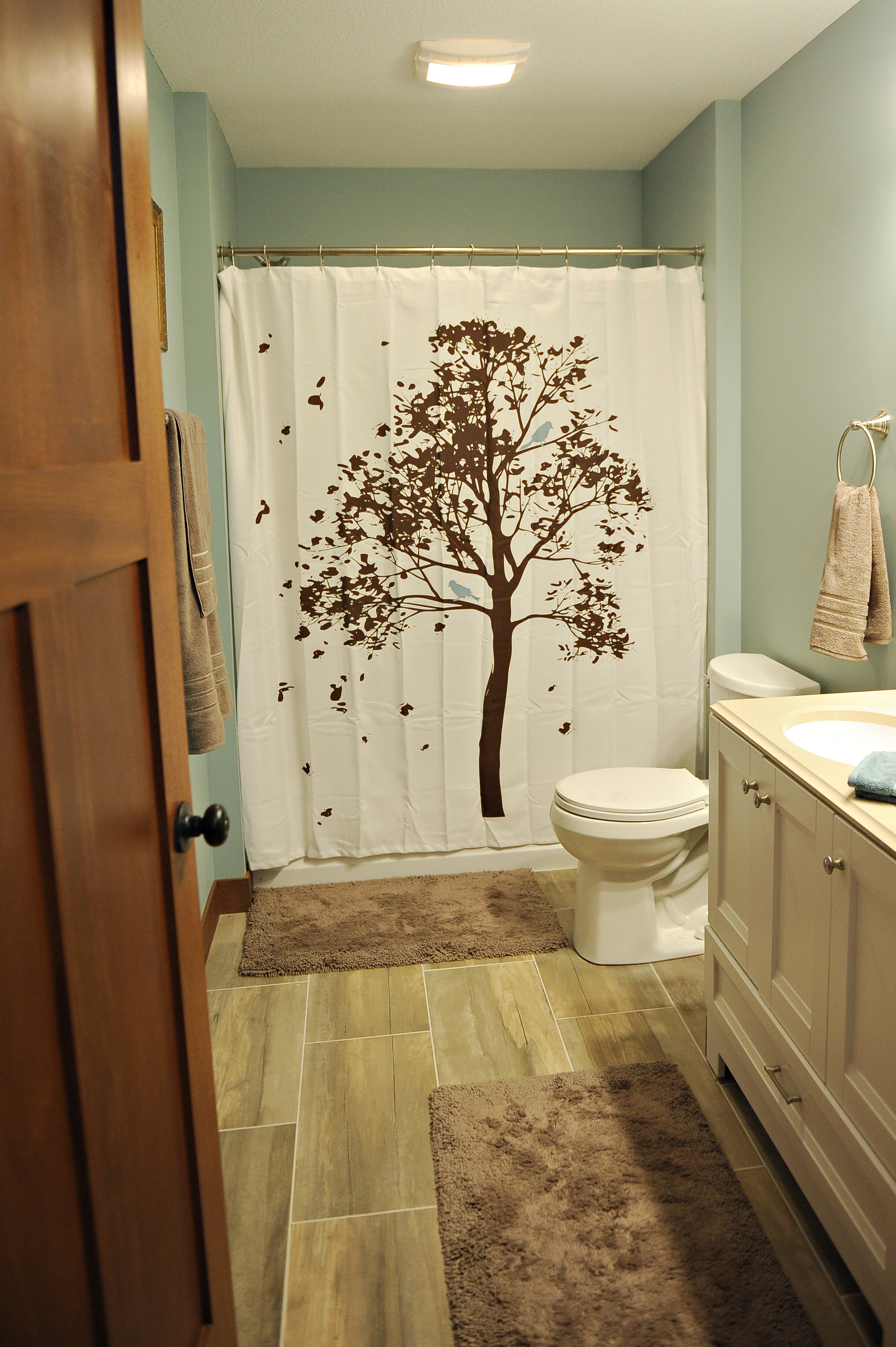 Lower Level Bath