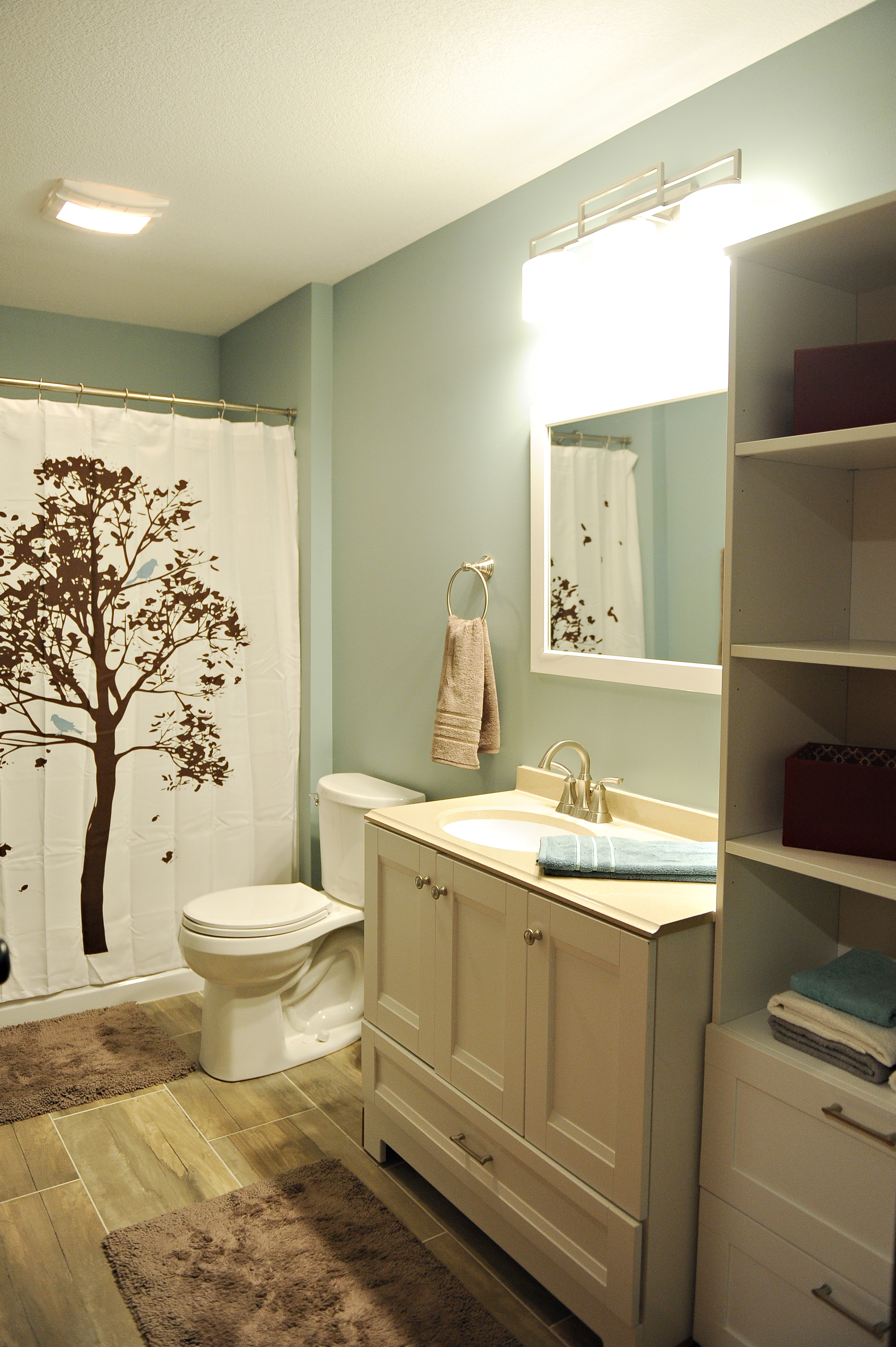 Lower Level Bath