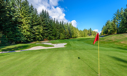 Suwanee Homes for Sale