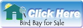See what is for sale today at Bird Bay in Venice