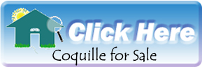 See what is for sale and get community info for Coquille on SIesta Key