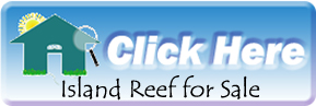The current MLS listings for sale at Island Reef on Siesta Key
