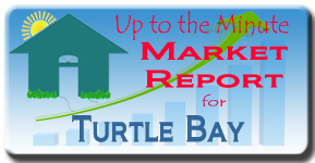 The latest market analysis for Turtle Bay on SIesta Key