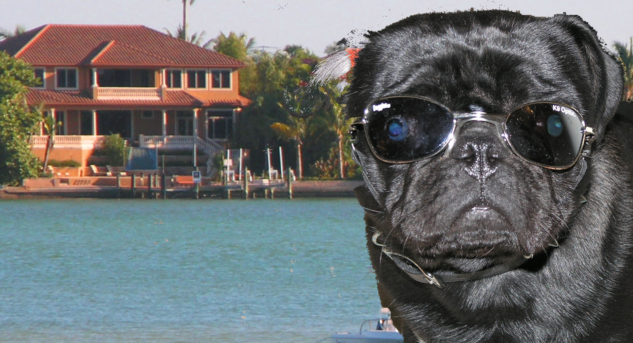 Lido Key Pet Friendly Condos