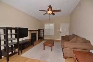3411 59th Ave Bradenton Living Room - Mirror Lake