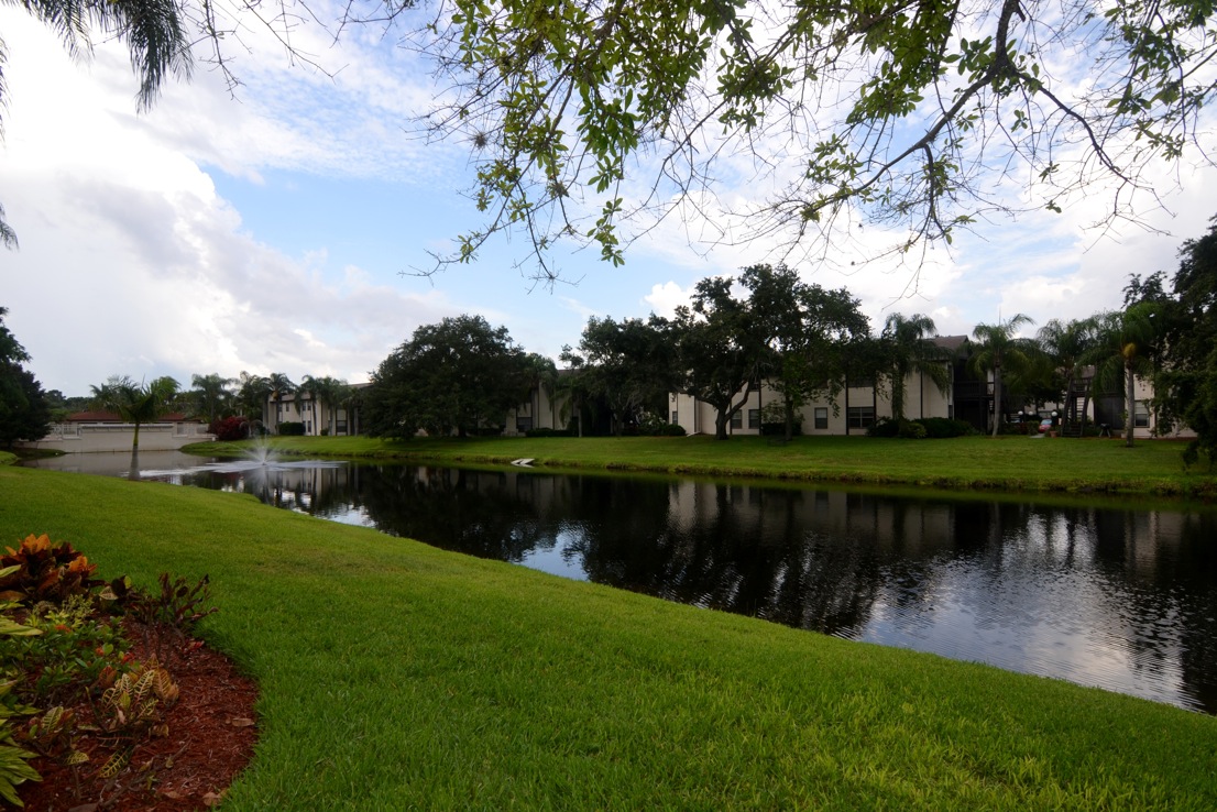 Just Listed in Mirror Lake by Paul Adams