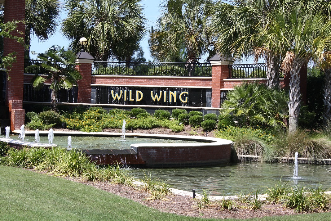 Homes for sale in Wild Wing Plantation