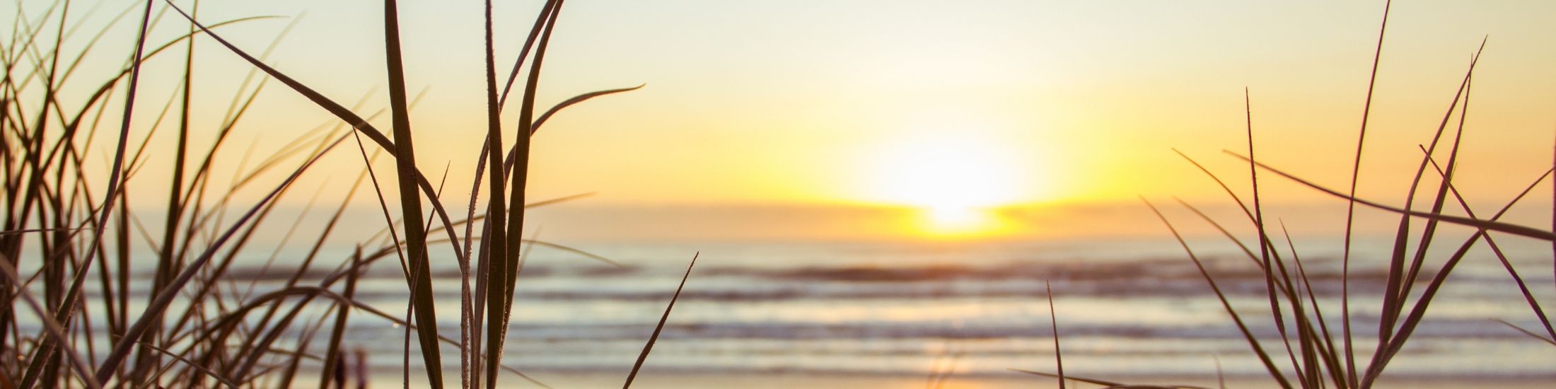 Grand Strand Realty North Myrtle Beach Real Estate NMB, SC