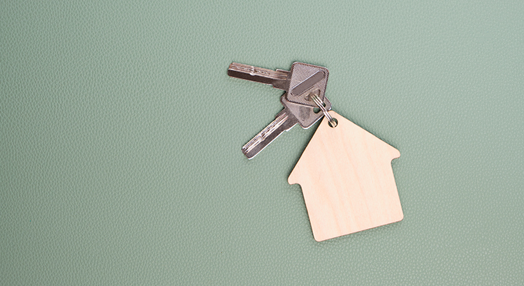 Real Estate Agent, Homes For Sale, Realtor