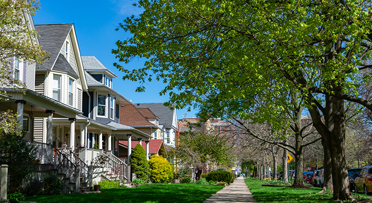 Real Estate Agent, Homes For Sale, Realtor