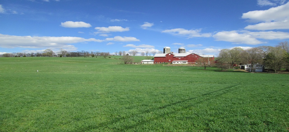 Scott V Foley Realtors Featured Listings