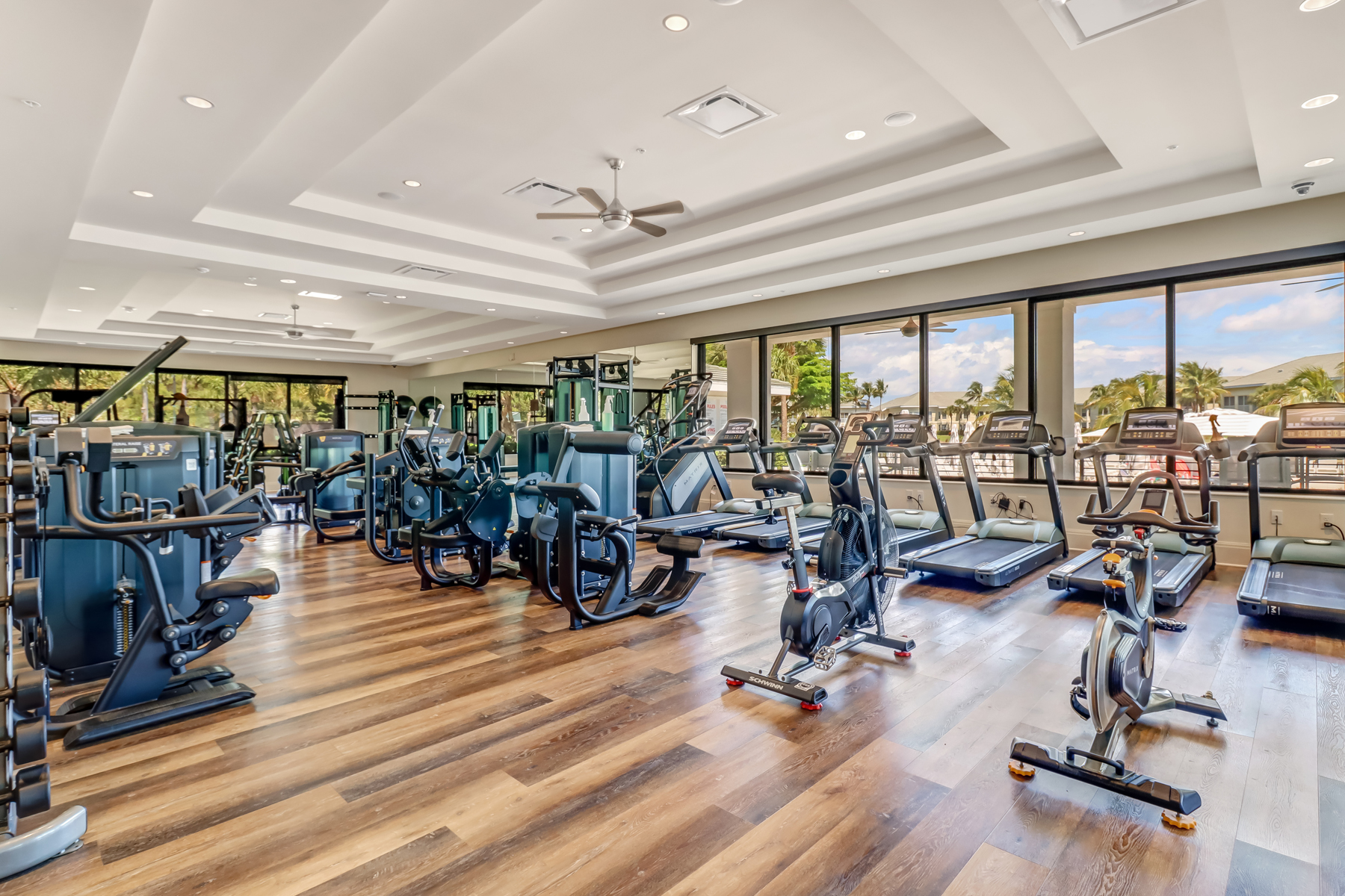 GYM