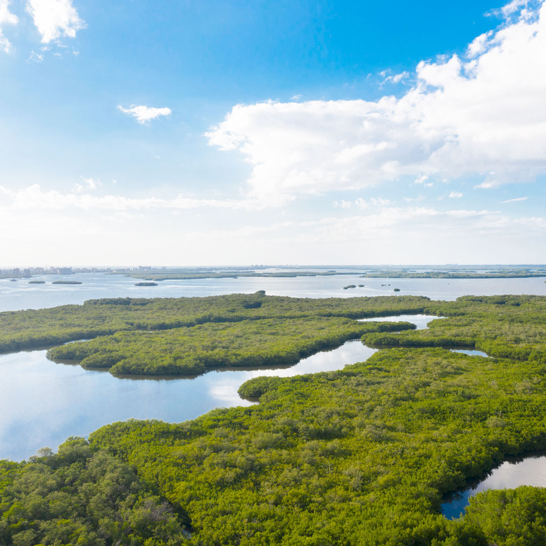 Ritz Carlton Residences, Estero Bay and Saltleaf Community