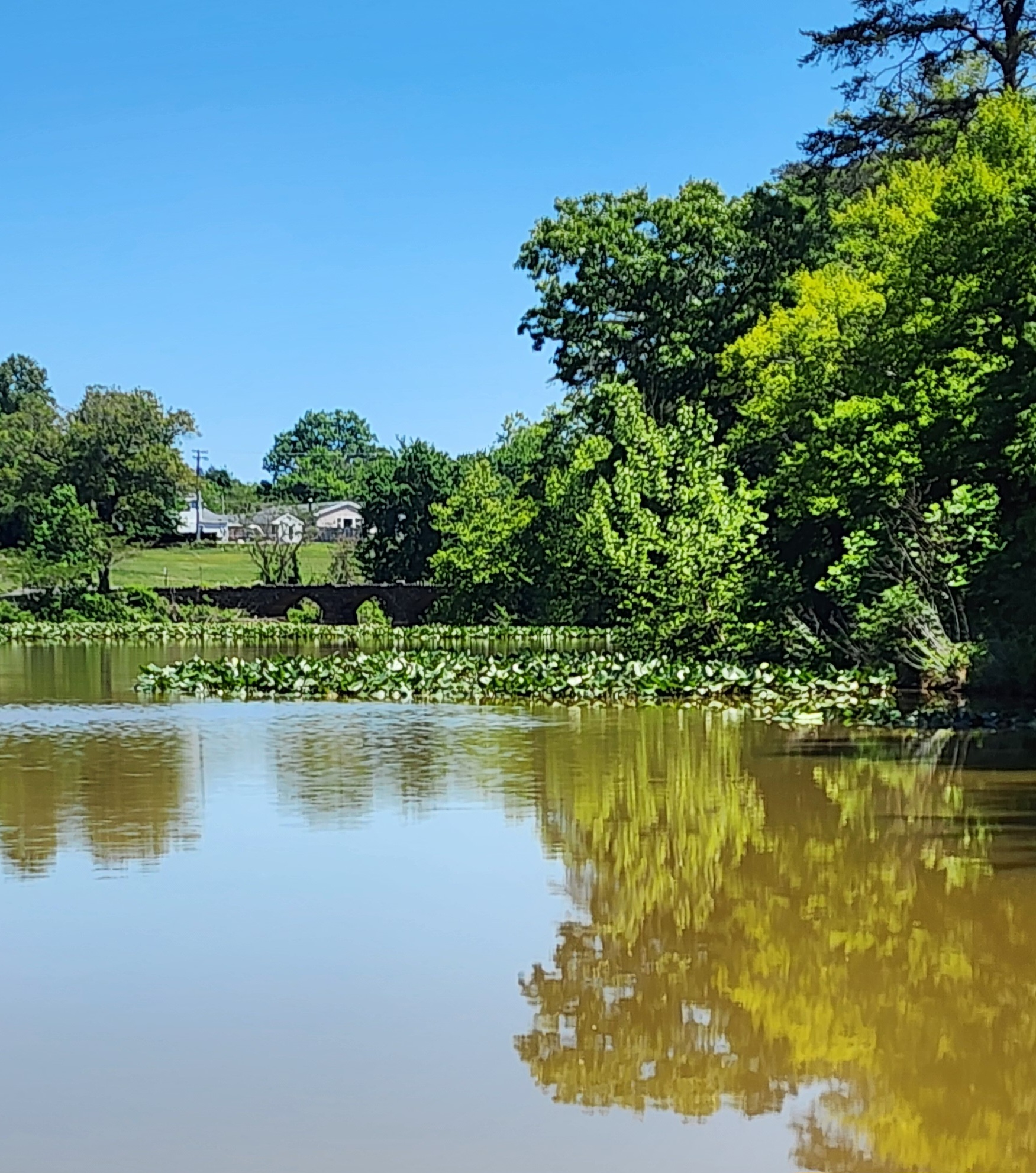 Woodward Pond also known as Foxhill Lake at Foxhill Park in Bowie Maryland