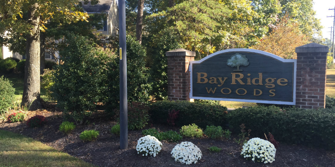 Bay Ridge Woods Homes For Sale Lewes, Delaware Real Estate Scott