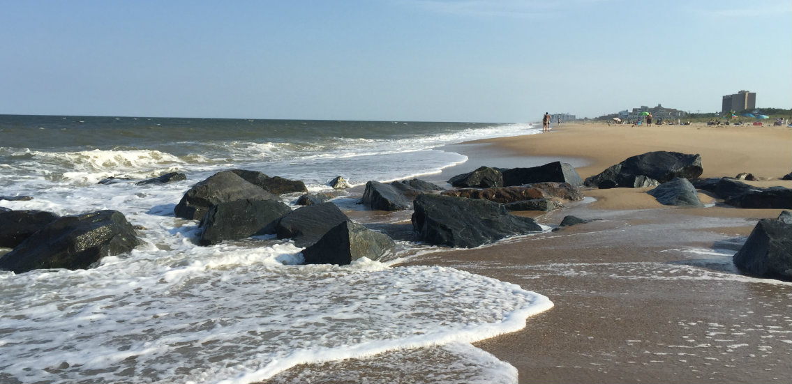 Canaan Woods Homes For Sale Lincoln, Delaware Real Estate Scott Wagner, Realtor®