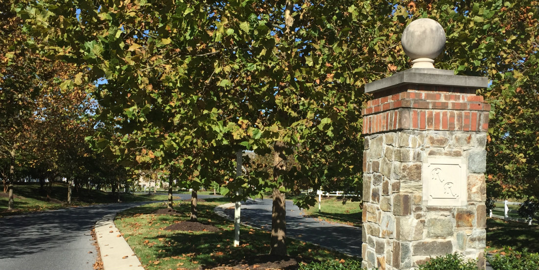 The Ridings Homes For Sale Lewes, Delaware Real Estate Scott Wagner, Realtor®