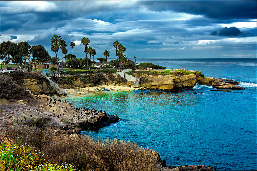 La Jolla Shores Real EstateSearch All La Jolla Shores Homes, Condos