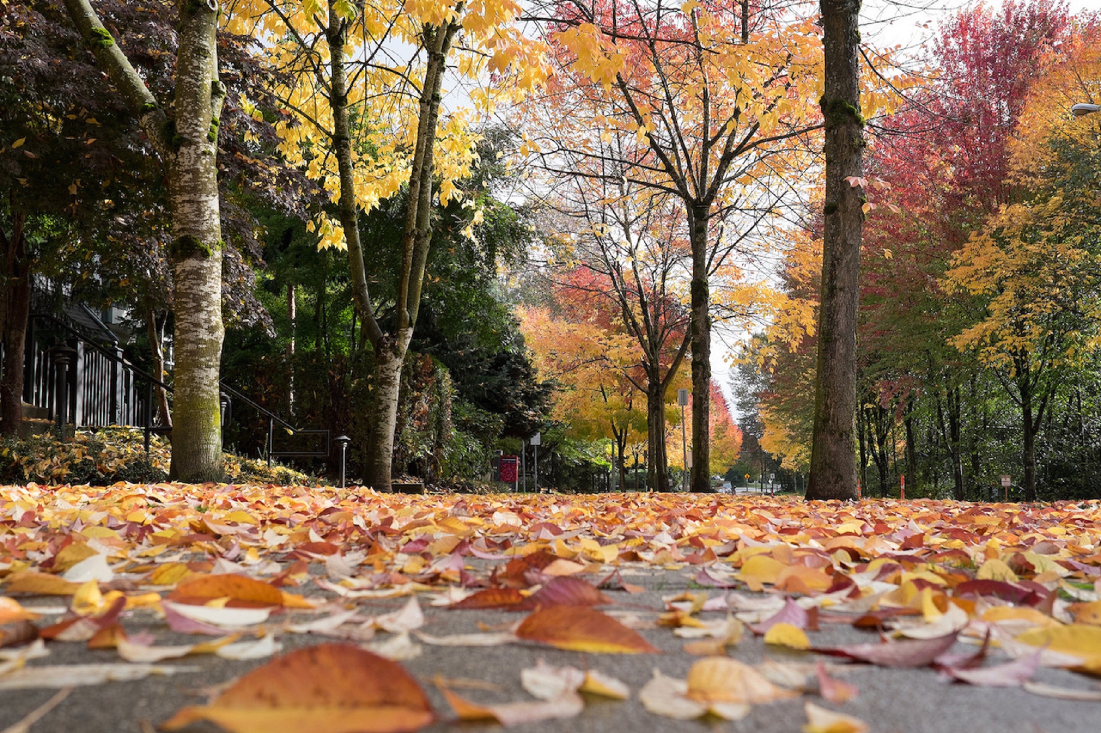 Killarney VE Listings