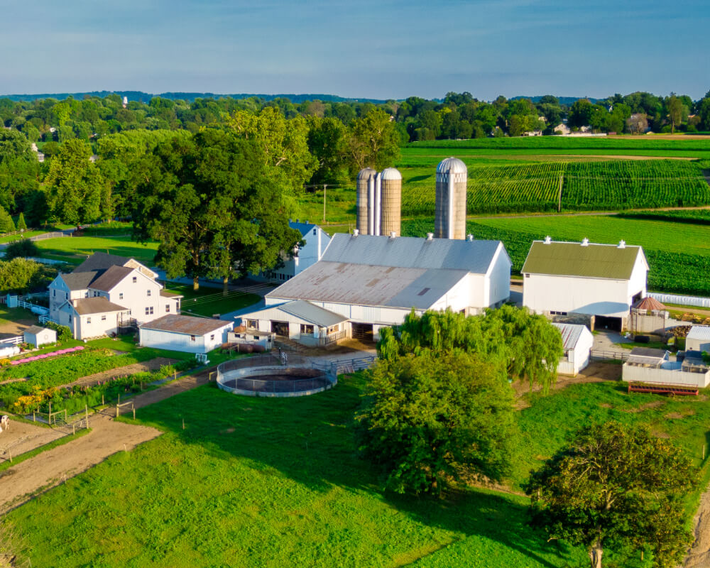 Farms Real Estate