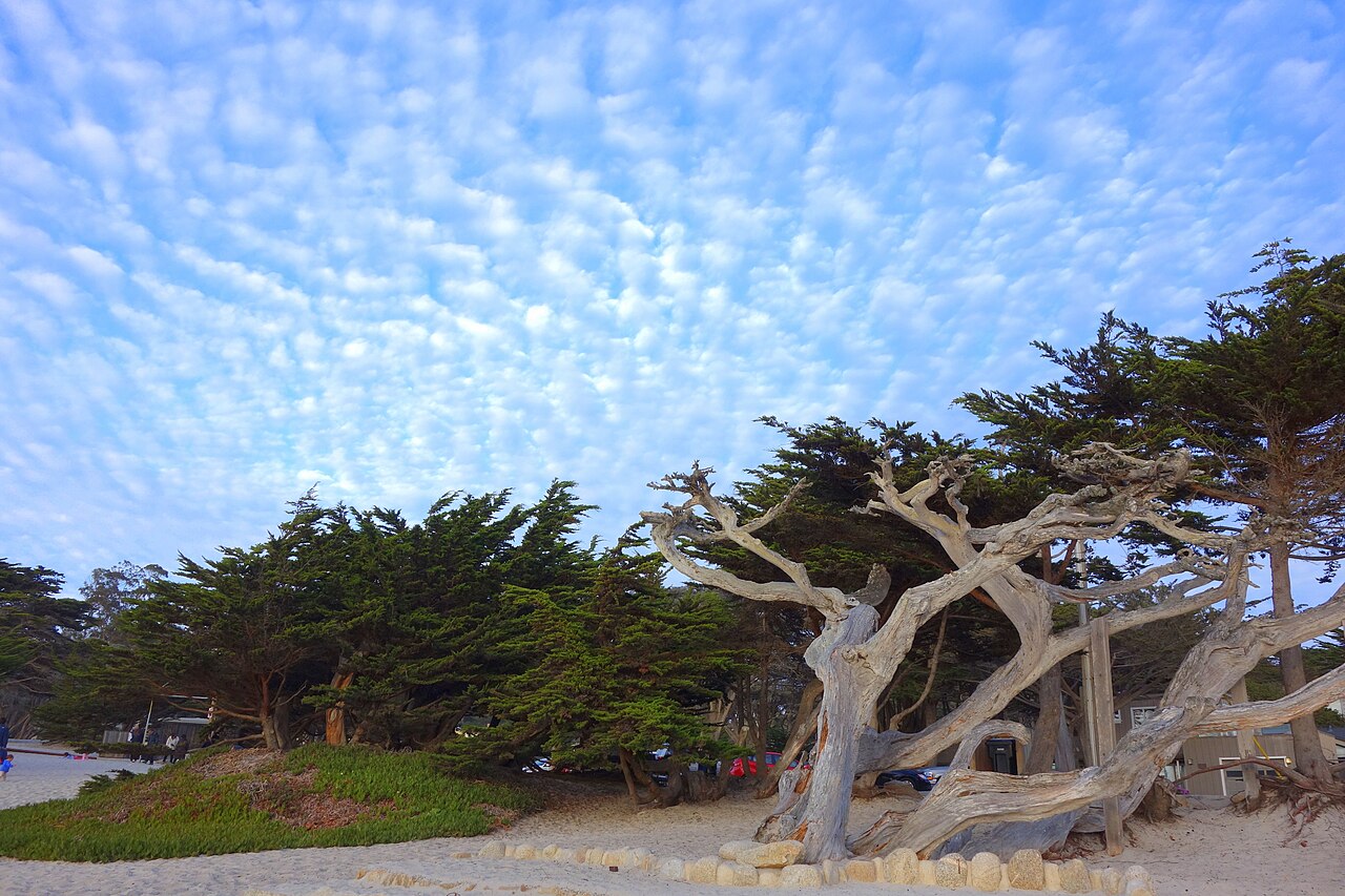 Carmel-by-the-Sea Luxury Carmel Beach