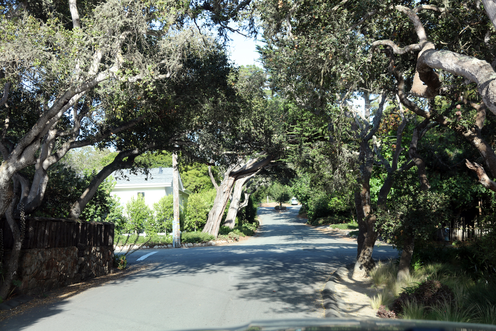 Walk along the tree lines Carmel-by-the-Sea Streets