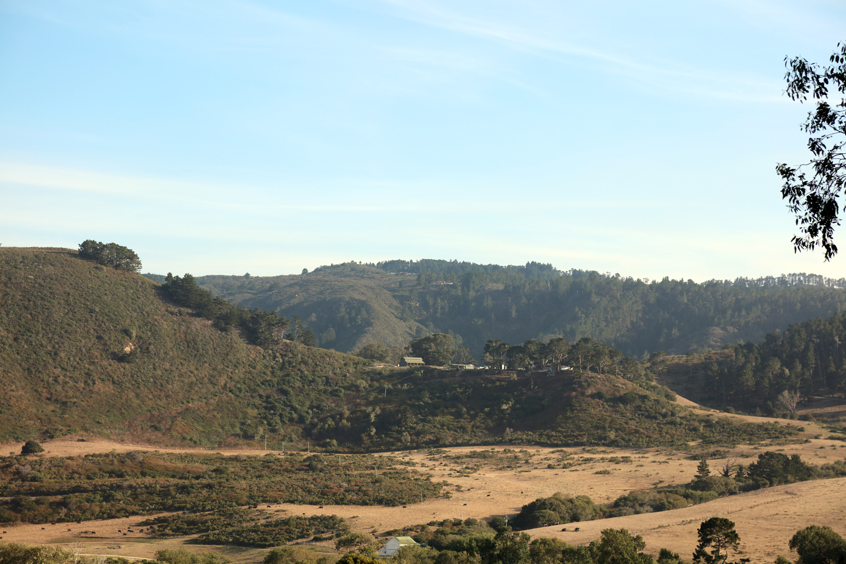 The Lower Carmel Valley Is a Transition Zone