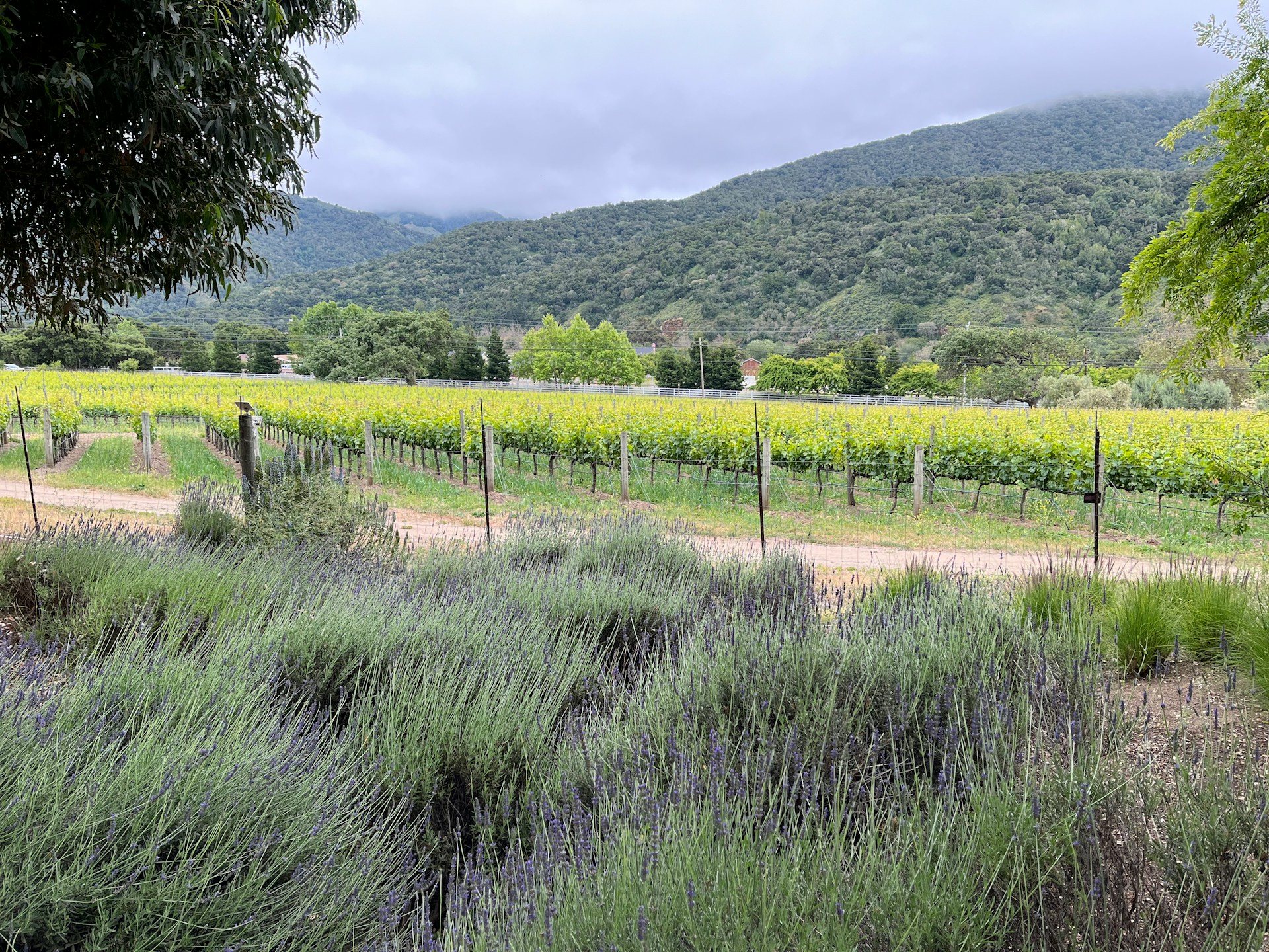 Historic Carmel Valley Village California near the Monterey Peninsula