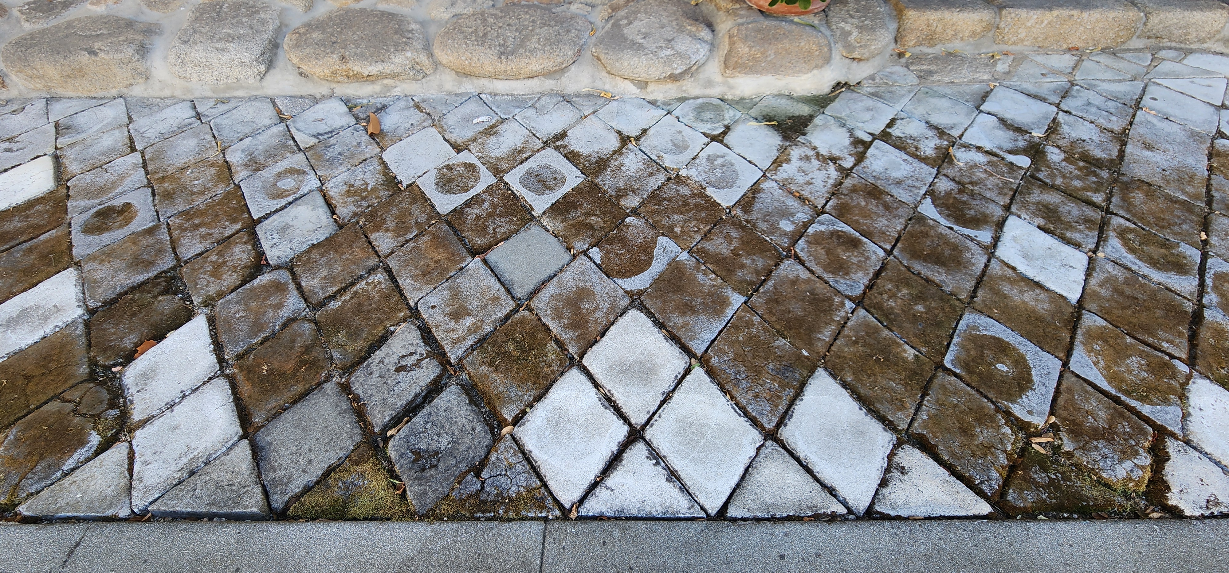 Whalebone Sidewalk at the Old Whaling Station near Fisherman's Wharf