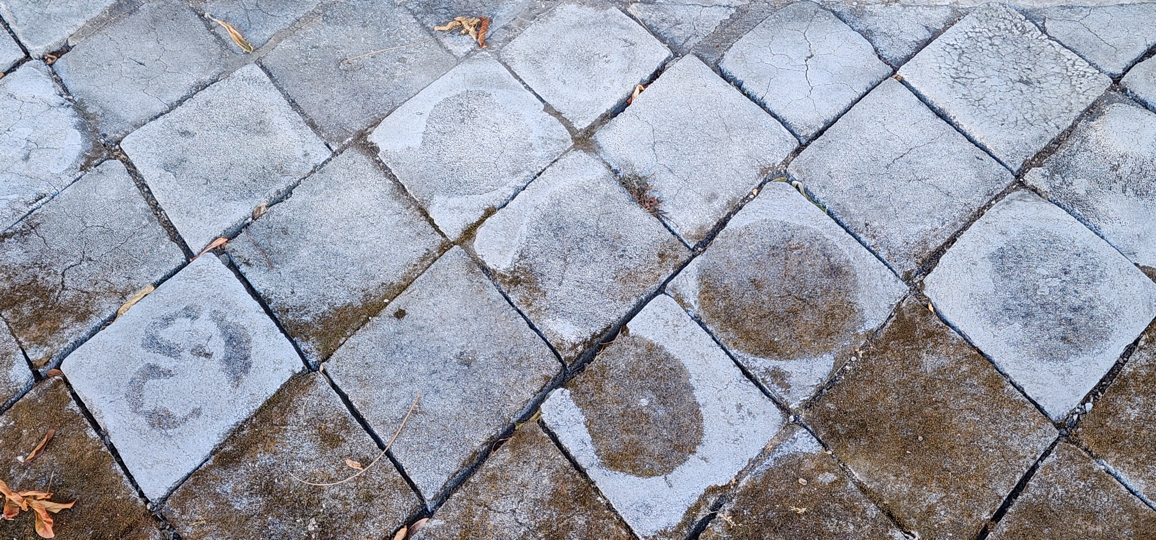 Closeup of the whalebone sidewalk