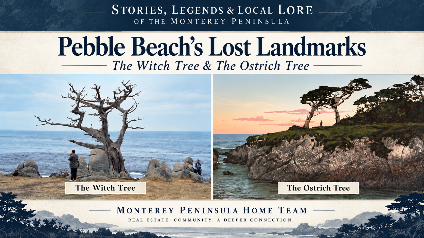 Monterey Peninsula Lore - Pebble Beach Witch Tree & Ostrich Tree