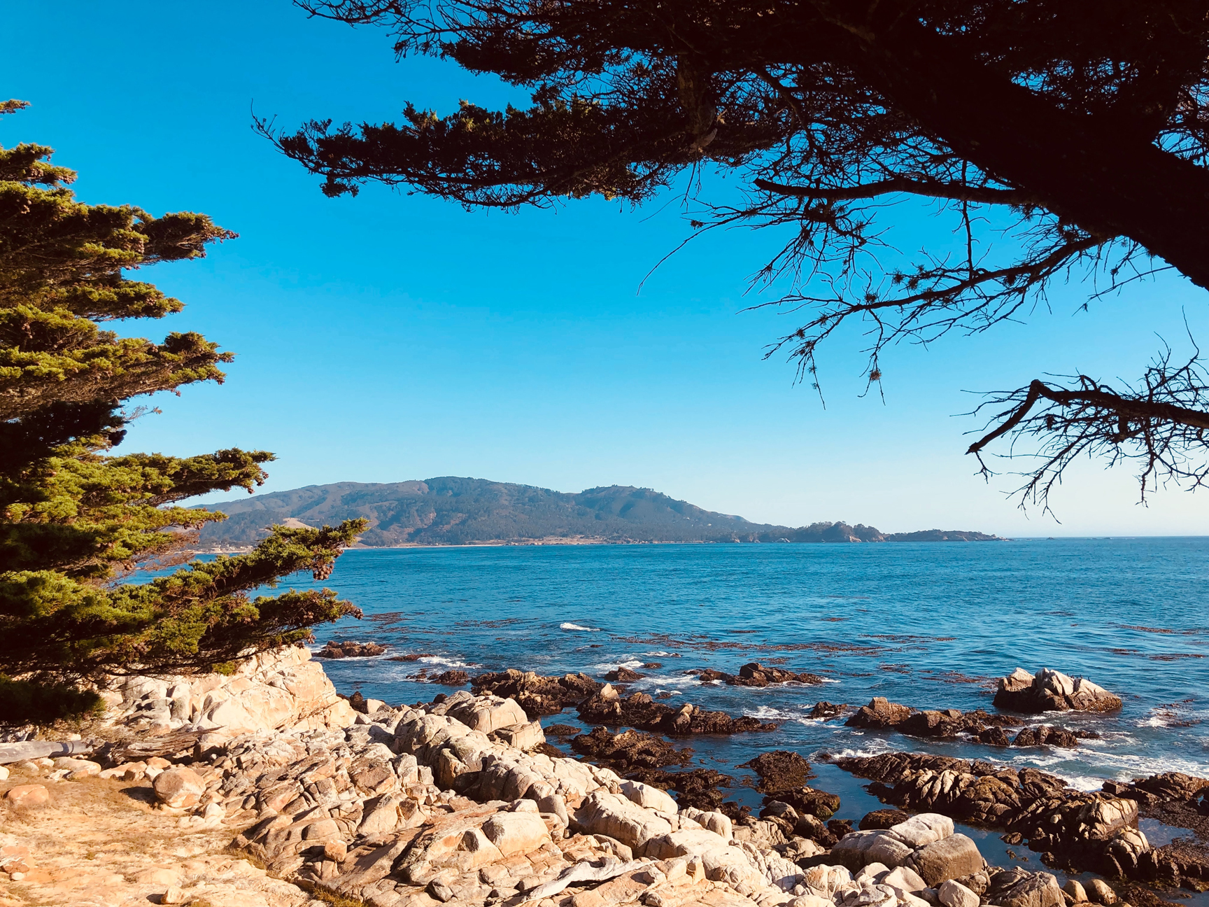 Point Lobos viewed from the Pebble Beach coast;ine