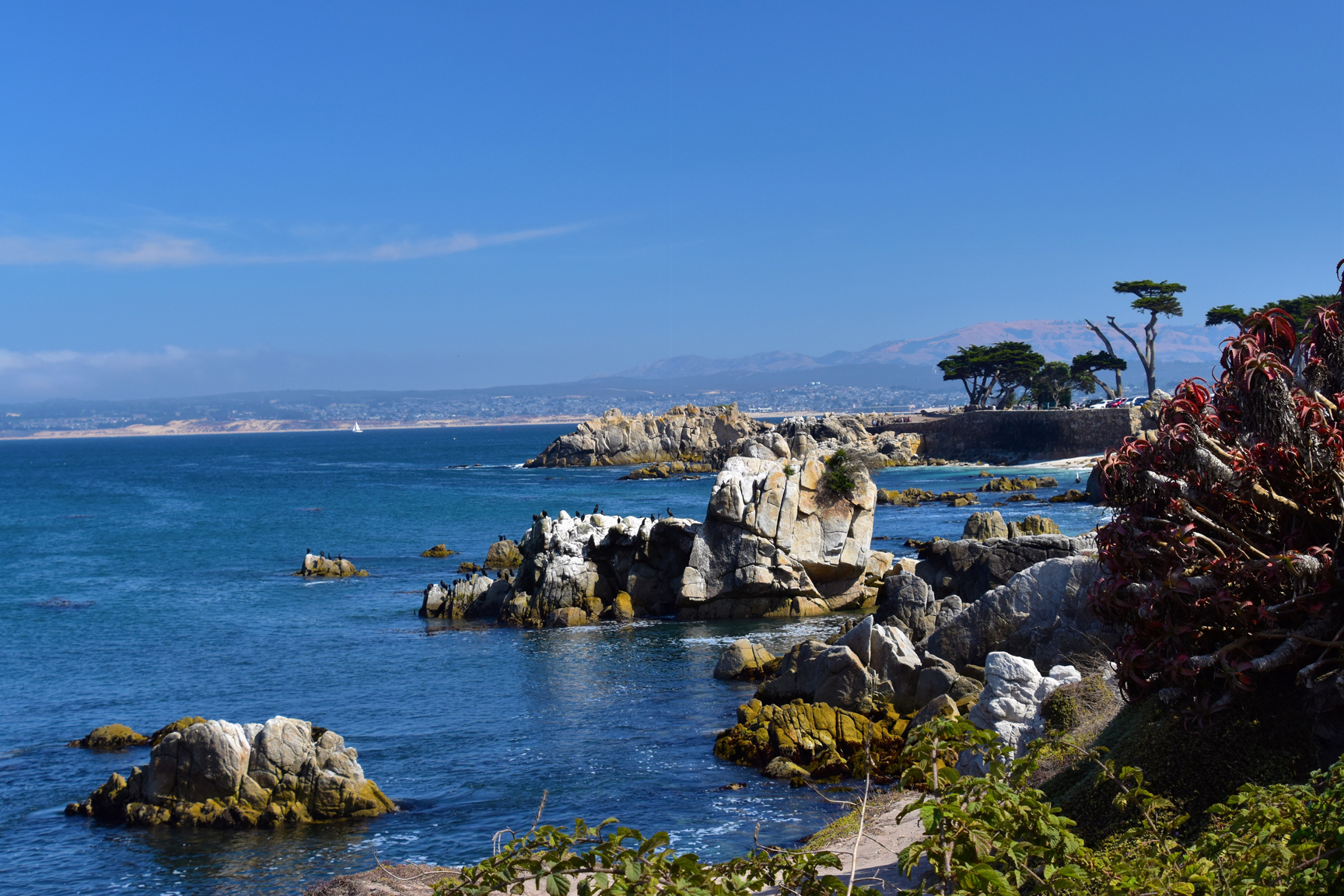 The beautiful Pacific Grove coastline near Lovers Point on the Monterey peninsula