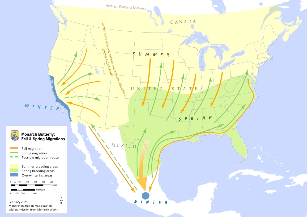 Monarch butterfly migration patterns to coastal California