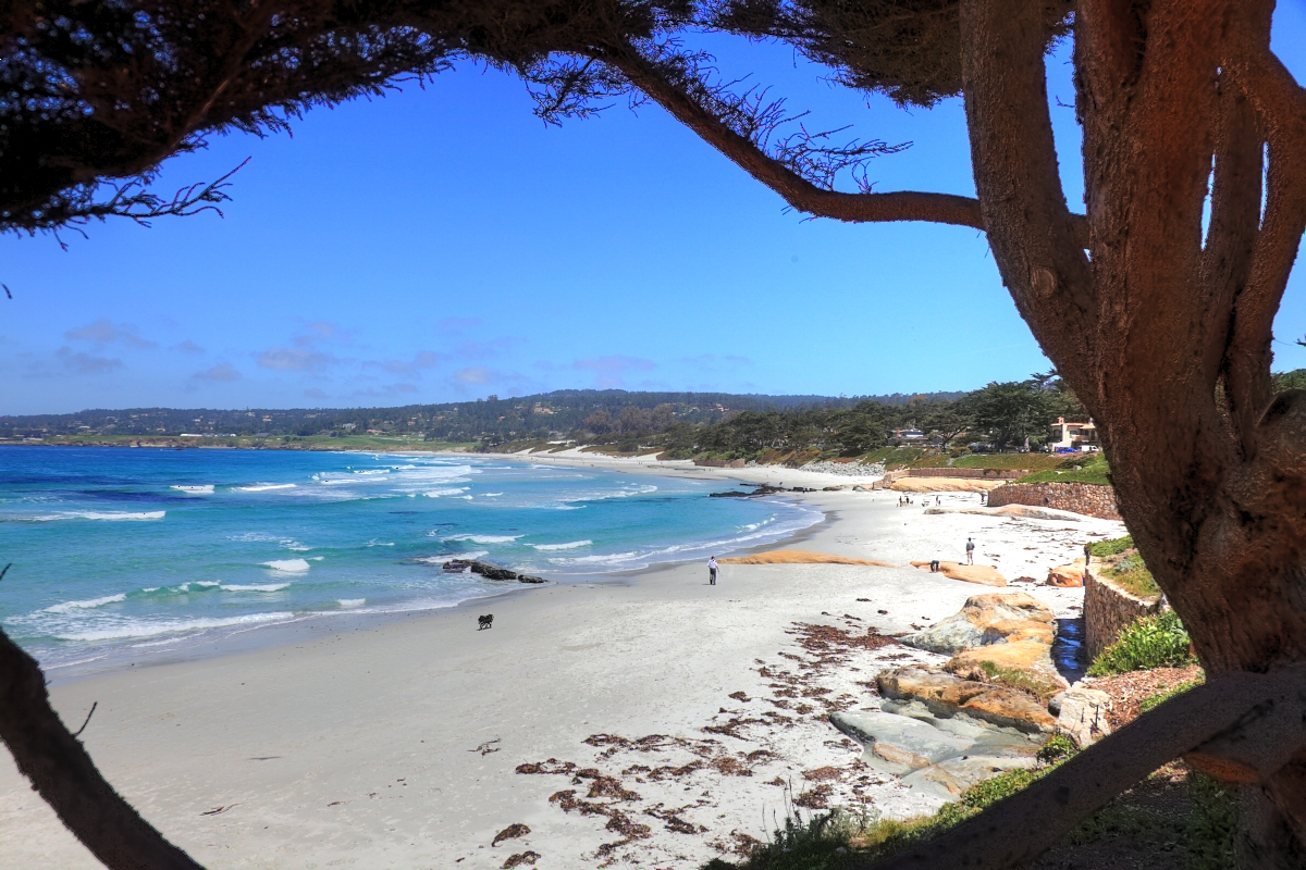 Carmel Beach in Monterey County