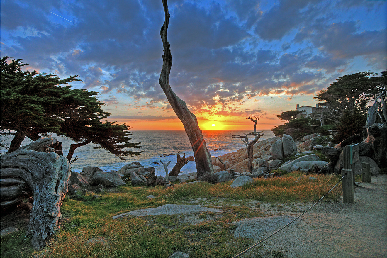 Ghost Tree Sunset