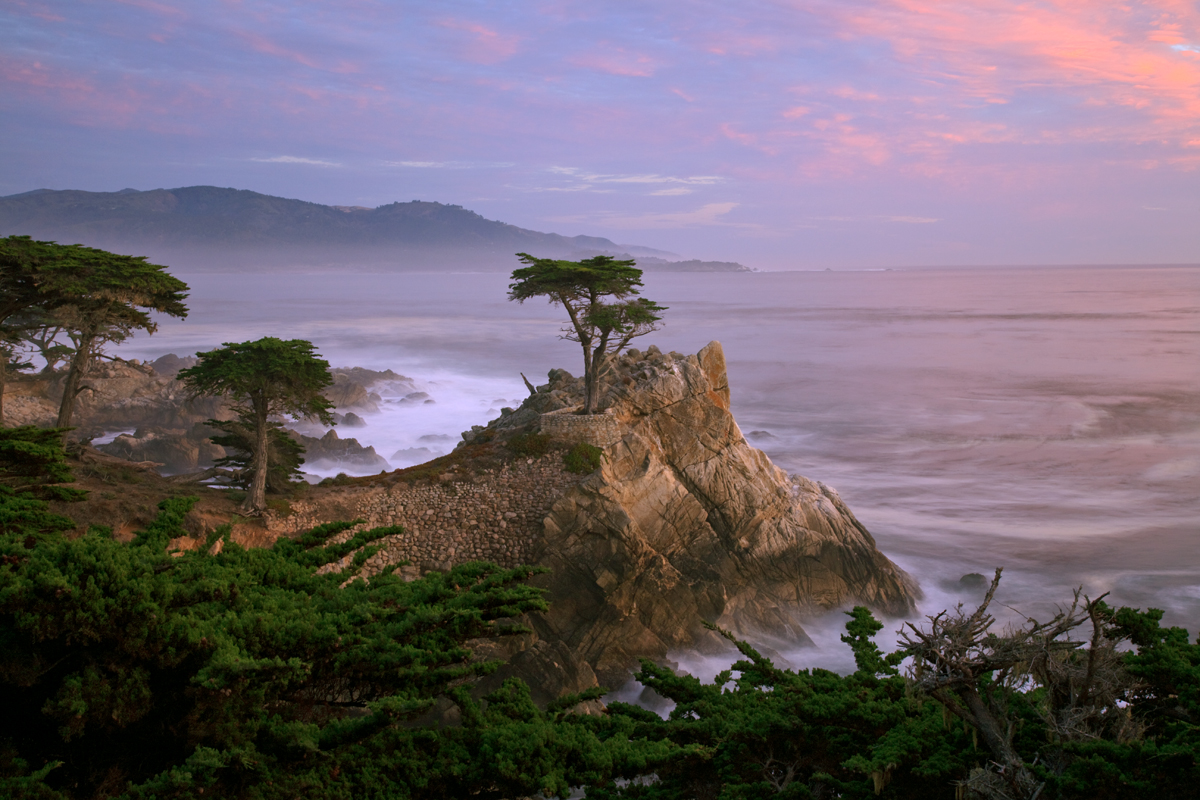 lone cypress pebble beach