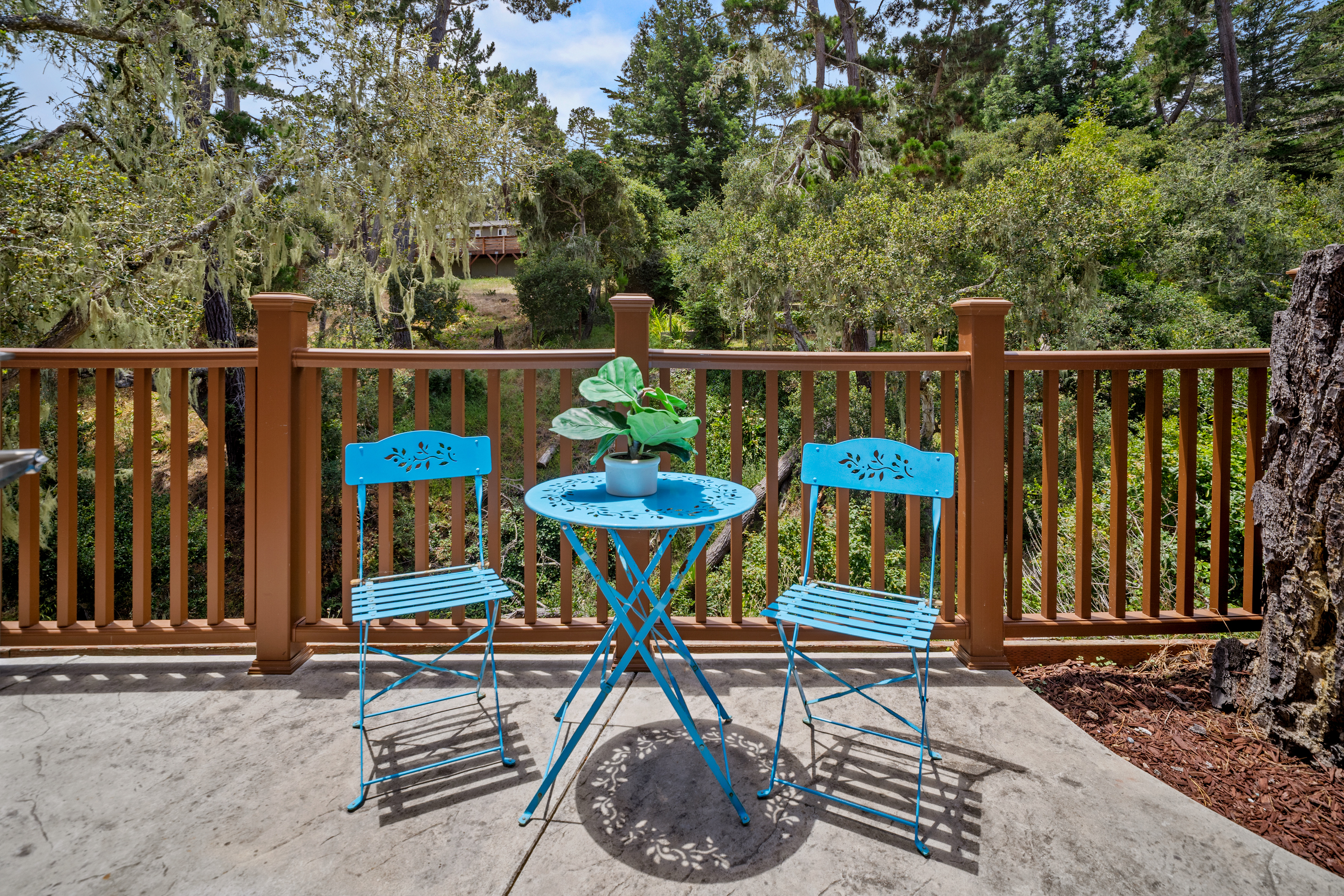 35 Wellings Place Patio off the Legal ADU