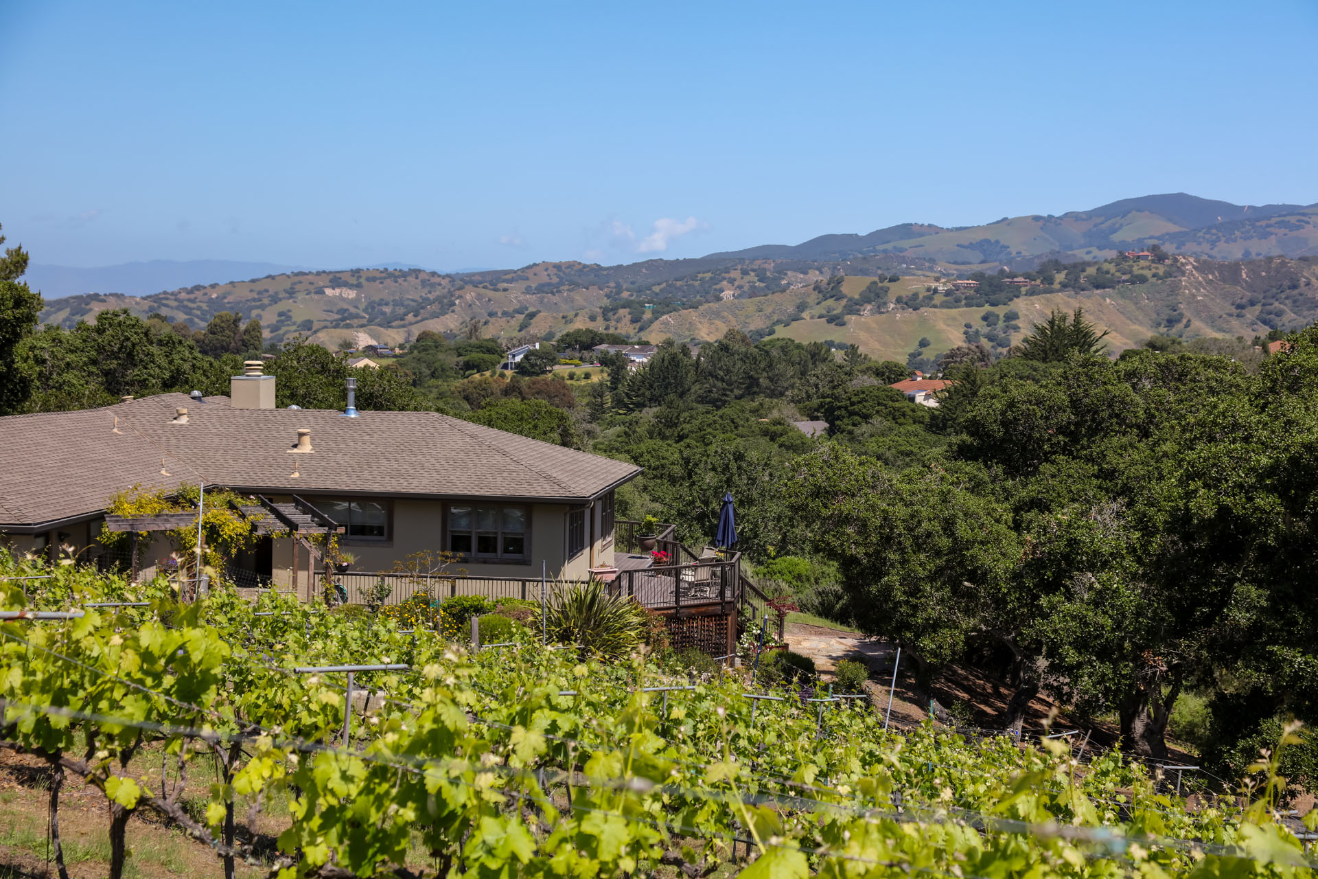 13365 Cuesta Verde Views