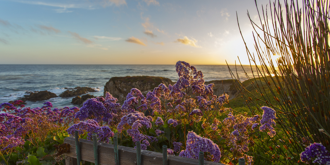 Carmel Highlands Real Estate