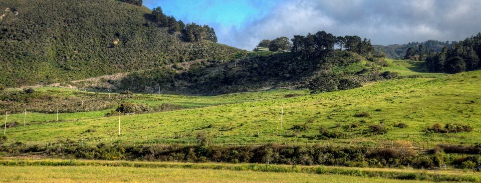 Carmel Valley Ranch Real Estate