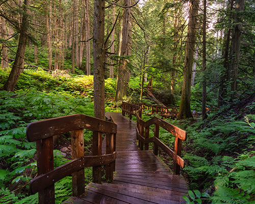 Revelstoke Homes for Sale