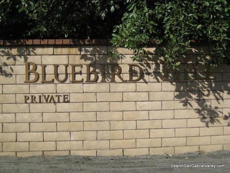 Blue Bird Hill Gated Community Glendora Homes For Sale searchsangabrielvalley.com