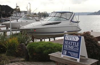 Mercer island tree permit picture