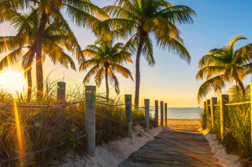 Beaches